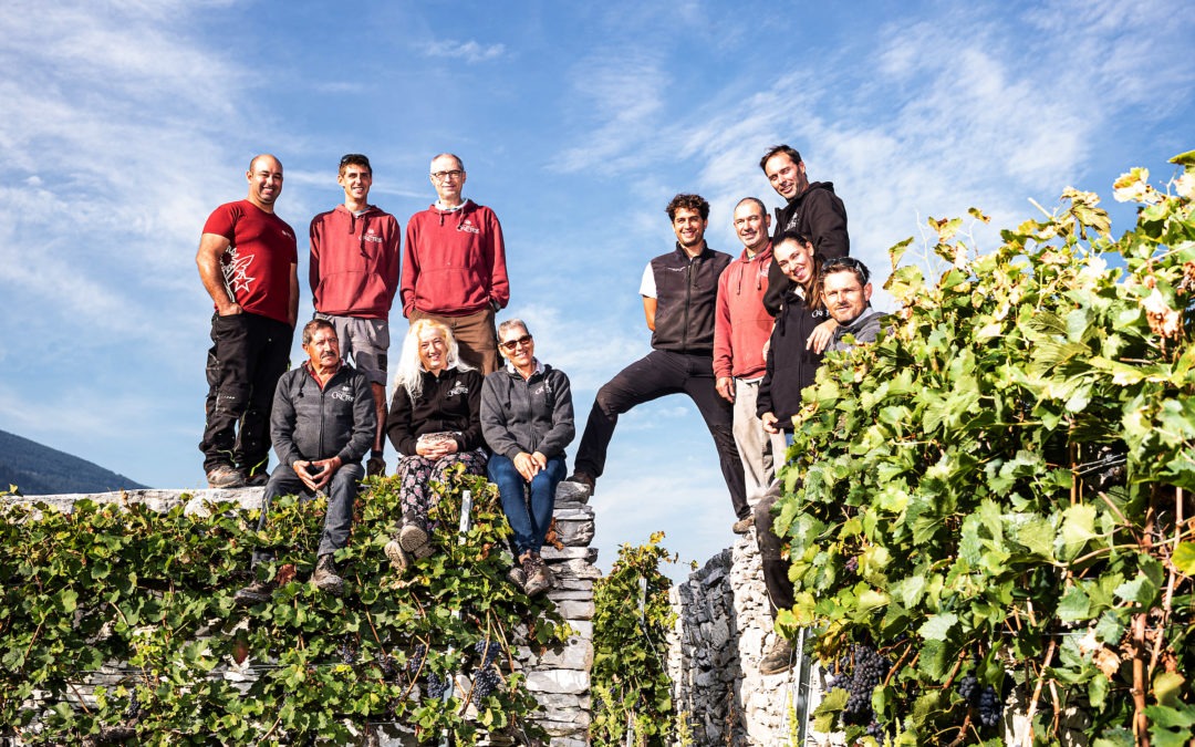The vineyard team