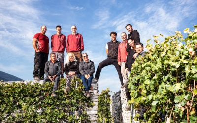 Unser Weinbergteam