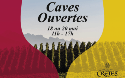 Open cellars in Valais 2023
