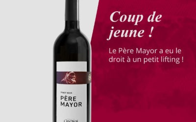 Pinot Noir Père Mayor