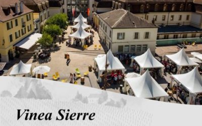 VINEA Sierre 2025🍷