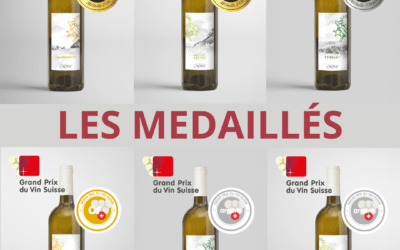 Die Medaillengewinner! 🏆