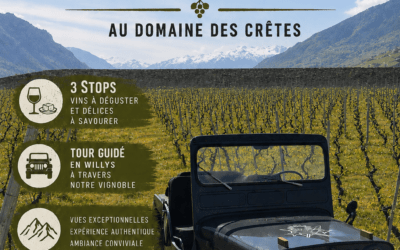 Willys Wine Tour 2026